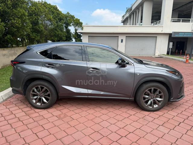 2020 Lexus NX300 2.0 F SPORT MY15 (A) - 4
