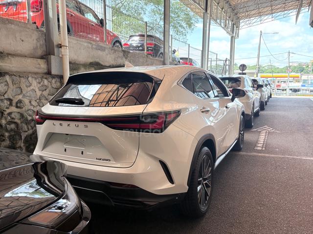 2024 Lexus NX250 2.5 VERSION L 360 PB BSM HUD A - 3