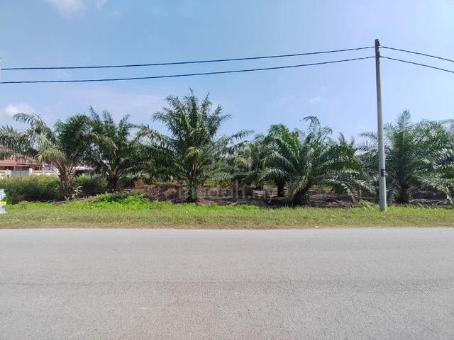 FLAT LAND INFRA READY 97327ft Agricultural Land Kuala Langat 3