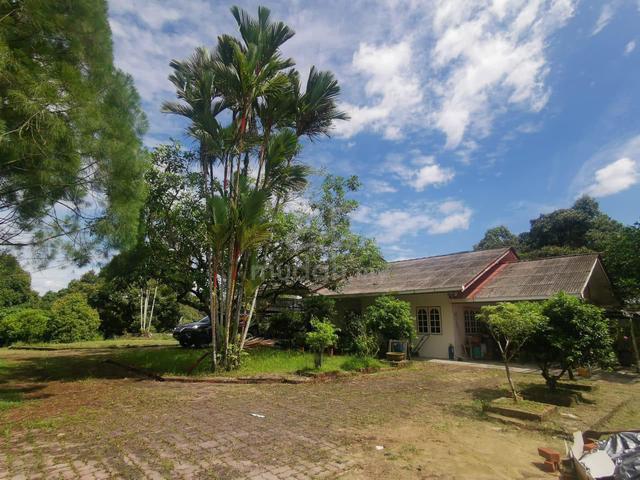 Sejijak Durian Farm with Detached House For Sale | 5.76 Acres 1
