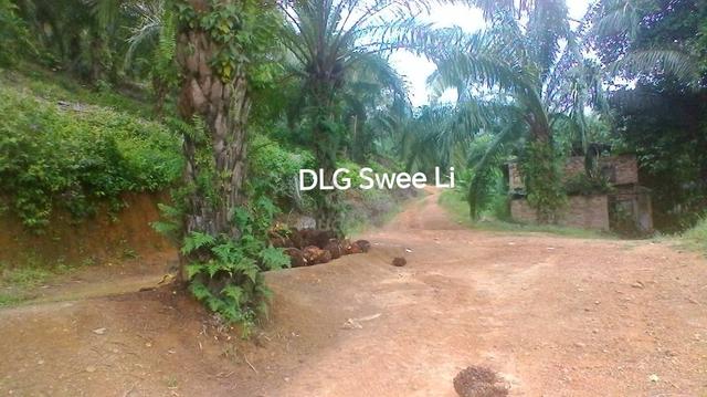 220 acres Palm Oil Platation Kuala Pilah Simpang Dangi Johol to Grab 4