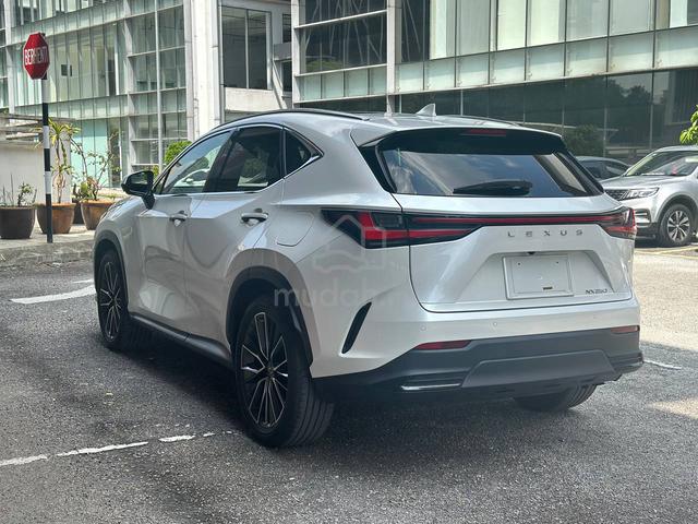 2023 Lexus NX250 2.5 LUXURY MY22 (A) - 5