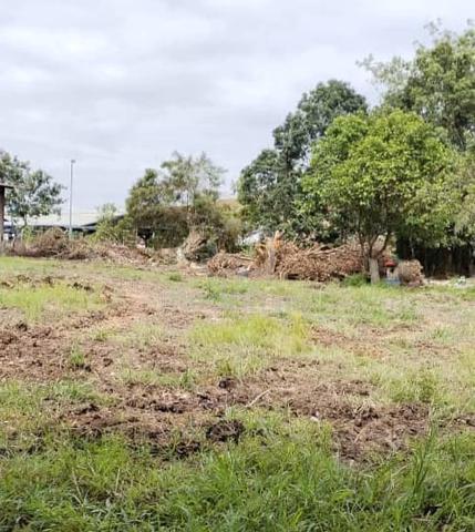 Pahang Temerloh RoadSide Simpang Songsang Huge Flat Land For Rent 1