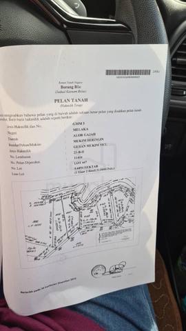 Tanah Pertanian Di Kg Panchor, Belimbing 1