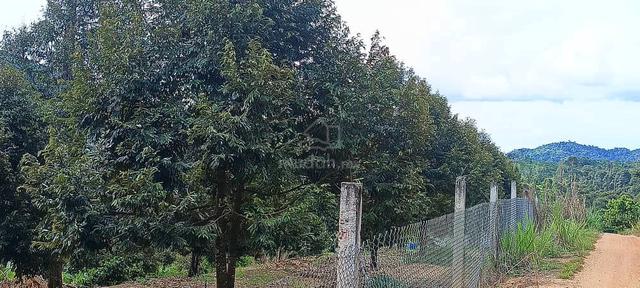Lenggong Kuala Kenering Durian Land 1