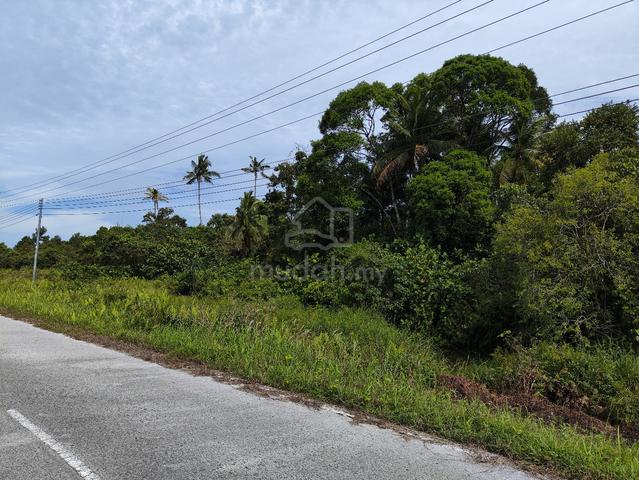 1ST LOT 4.23 Acres Land @ Trombol (Opposite Golden Beach) 1
