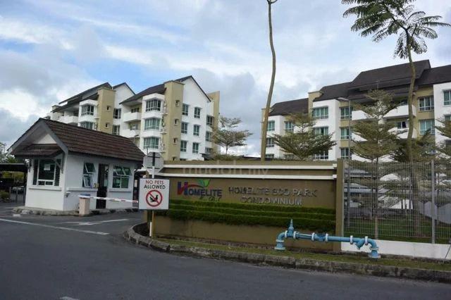 Homelite Eco Park 1