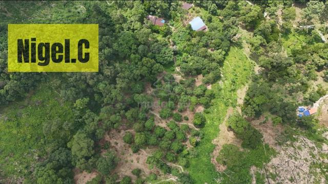 Jalan Kenari Durian Estate 3.05 Acres Sungai Ara 1