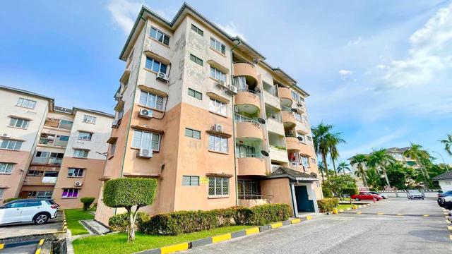 Palm Ville 1