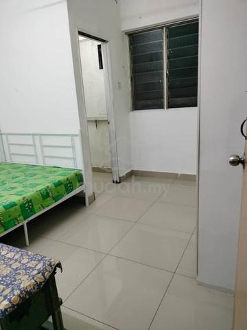 Fully Furnished Selangor Bandar Bukit Tinggi Room For Rent 1