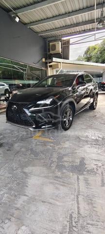 2021 Lexus NX300 2.0 F SPORT (A) #5A - 2