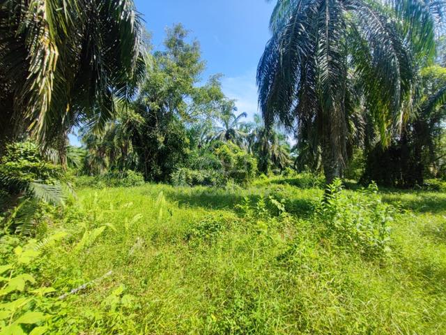 Tanah agri kelapa sawit 5.28 ekar Jeram kuala selangor 4