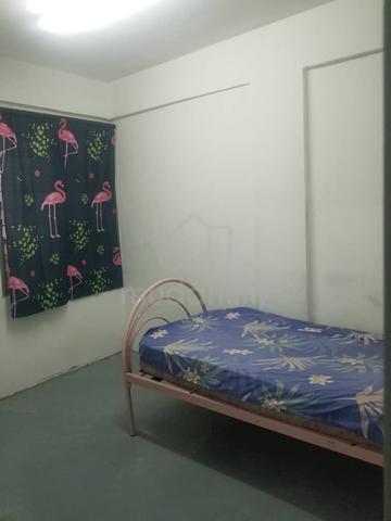 Bilik Sewa Lelaki Desa Tebrau 1