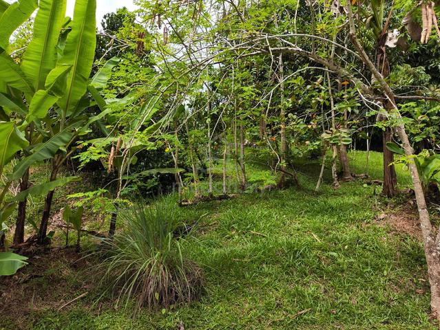 KUCHING HIDDEN GEM: Prime Land Nearby Bampfylde/Crookshank 1