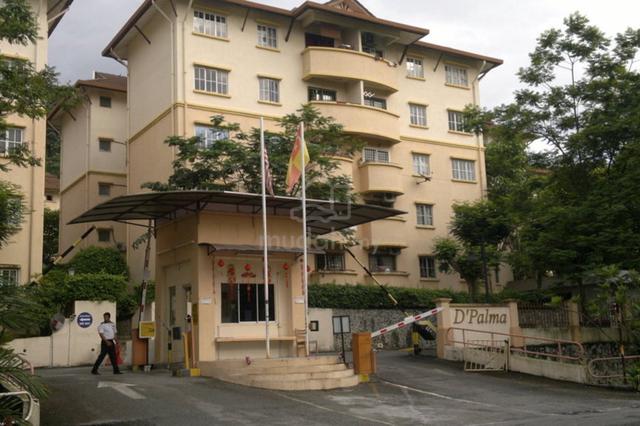 D Palma 1