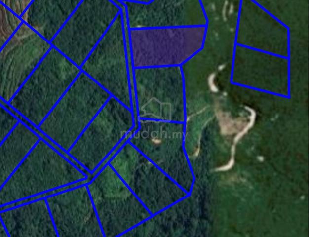 Kampung Air Panas Mukim Kerling Agriculture Land 1