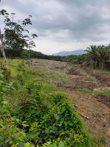 Luas 4 Relong/daerah kulim 1