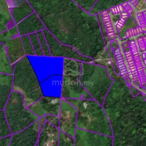 13th Mile Land For Sale | 5.93 Acres 1