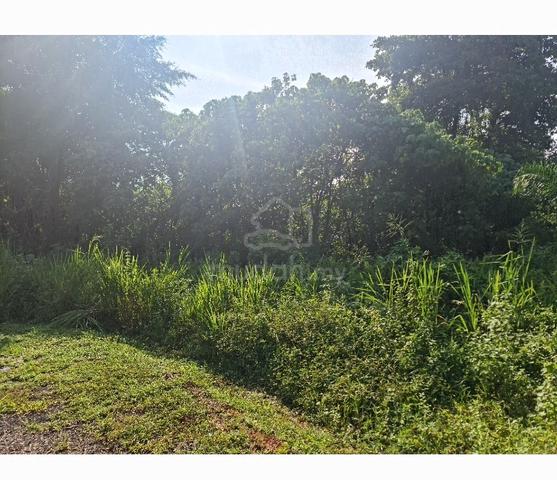 GOOD BUY😊NON BUMI CORNER 6,232sf 😊 land TMN SUNGAI MAS SIMPANG tpg 1