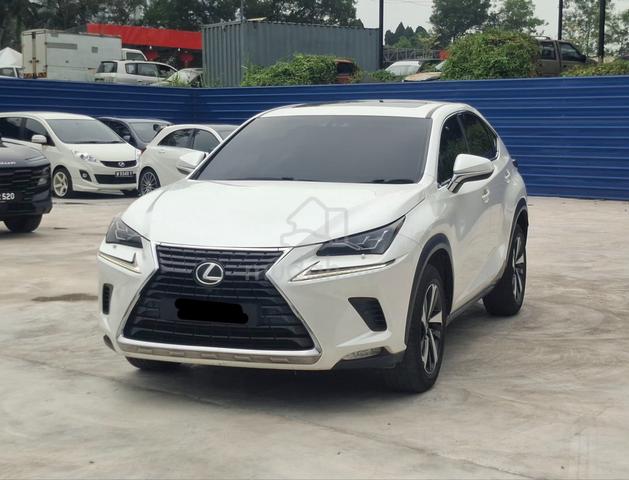 2019 Lexus NX300 2.0 PREMIUM (A) - 3