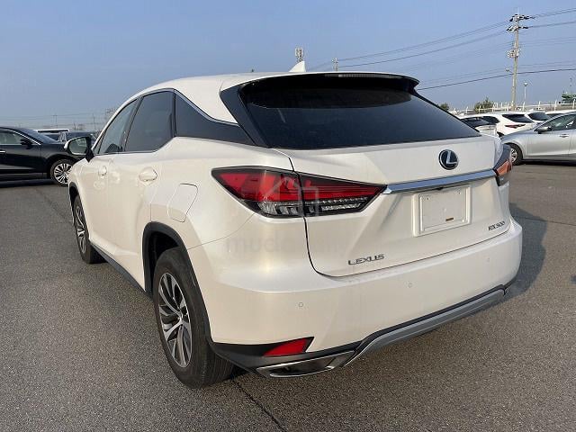 2020 Lexus RX300 2.0 standard (A) 18535 - 3
