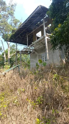 16 Ekar Tanah Kelapa Sawit Kg Bukit Tempurung Mukim Jabi Segamat Johor 1