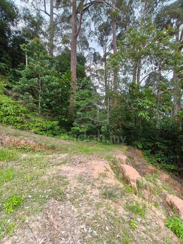 Penang Teluk Bahang 5.4 acres land sales 1