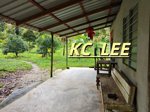 6.36 Acres Fruits Orchard Land For SALE @ Bukit Mertajam , Penang 1