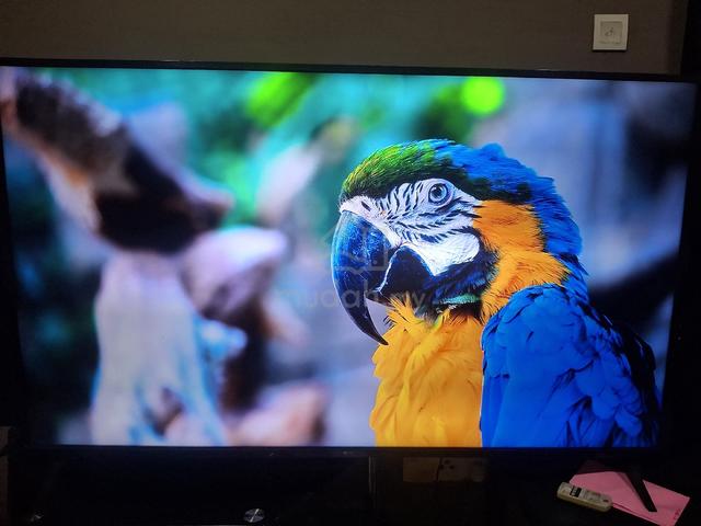 LG65inche smart 4k  - photo 3 of 6