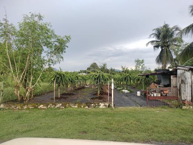 50 x 80 bungalow lot 3