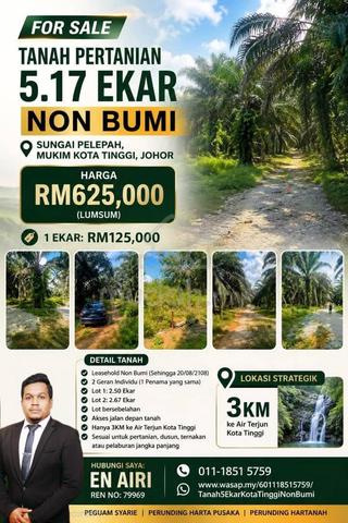 5.17 EKAR TANAH PERTANIAN | 2 GERAN | NON BUMI | Kota Tinggi Johor 1