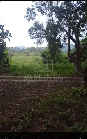 Tanah dusun 1