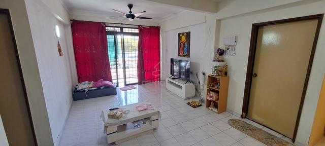 Halaman Areka 1