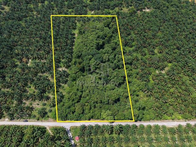 Tanah Pertanian Freehold 3.7 Ekar Pasir Kemudi Kuantan Pahang 1