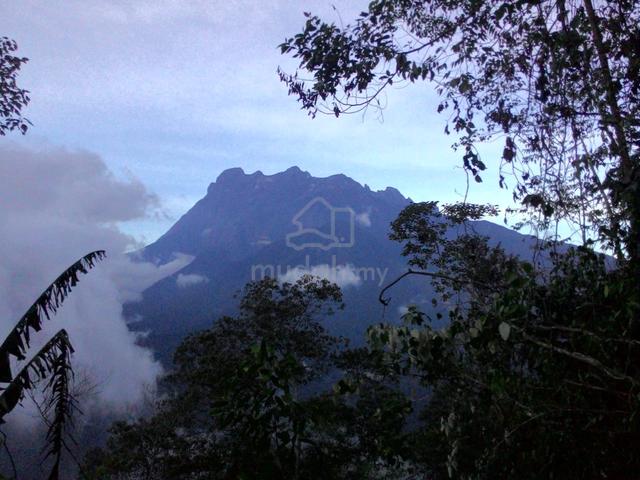 6.99 Acres Land with Direct Mount Kinabalu View 1
