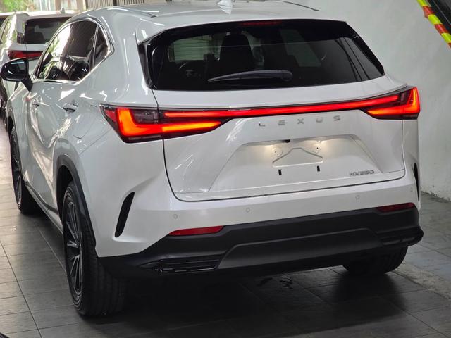 2023 Lexus NX250 2.5 BASE GRADE (A) - 5