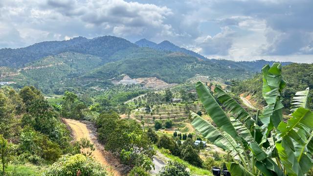 Freehold Agri-Land for Sale @ Bentong, Pahang 1