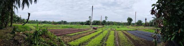 Value Buy Nice FLAT Land Jenjarom Telok Panglima Garang Zon Industrial 1