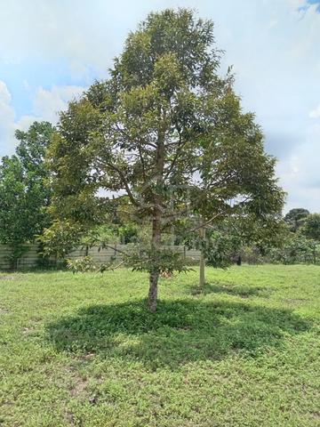 Tanah kebun Rezab Melayu 4.2 ekar tepi jalan utama area Tampin 2