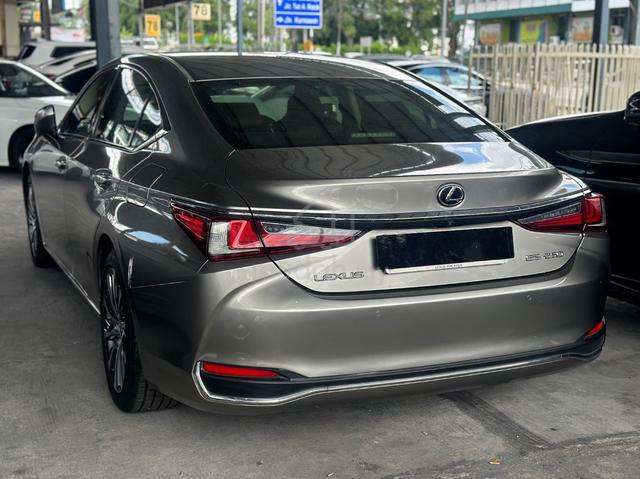 2019 Lexus ES250 LUXURY 2.5L (A) - 4