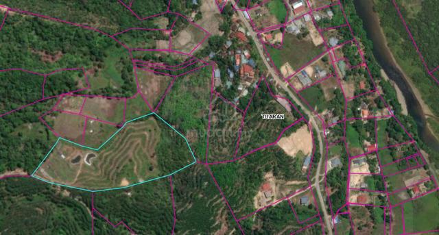 Plantation Land | Tuaran | Kiulu 1