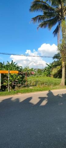 Lot Banglo @ Bandar Dato Onn - Taman Desa Mutiara 1