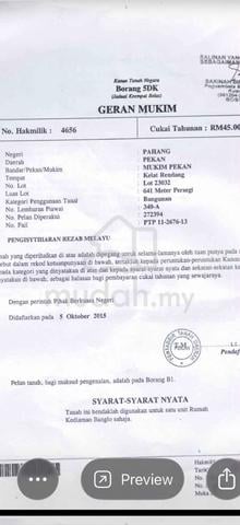 Pahang Pekan Residential Freehold Land For Sale 1