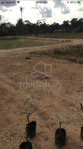 Lot banglo kg lundang paku.500m klinik lundang paku 4