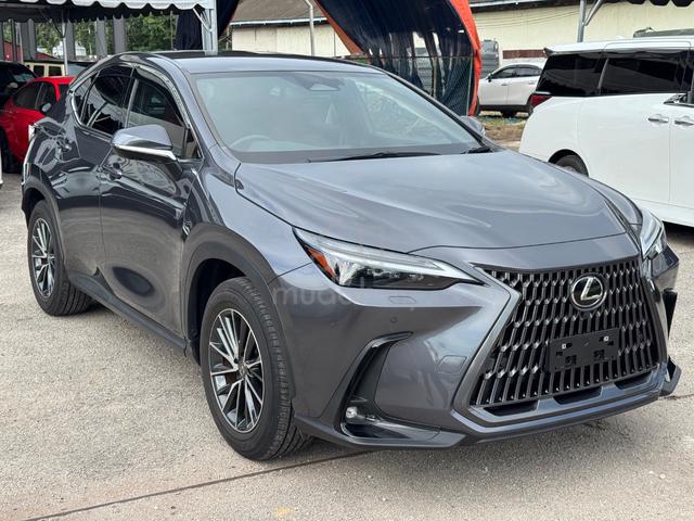 2023 Lexus NX250 2.5 VERSION L (A) 3LED,DIM,360,5A - 2