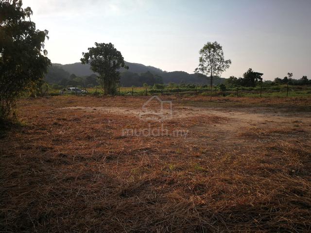agricultural / country home land 1