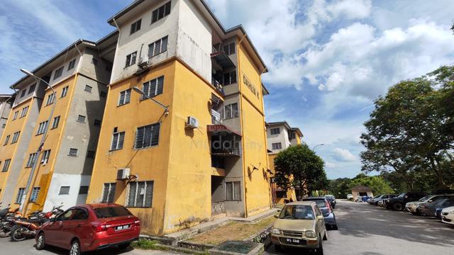 Dahlia (Seremban) 1