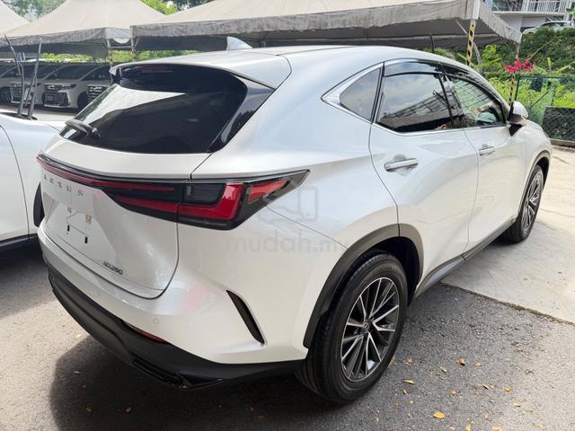 2023 Lexus NX 250 2.5 Standard Red Leather 4.5 Urg - 4