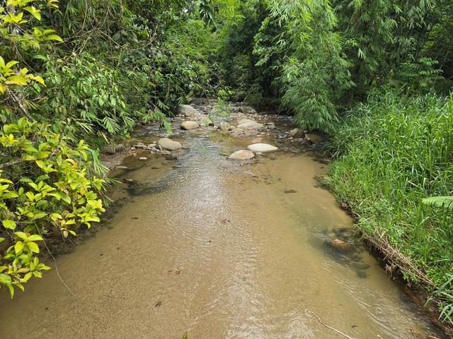 (ANAK SUNGAI DI TANAH! PELBAGAI TANAMAN) Tanah Pertanian, Janda Baik 2