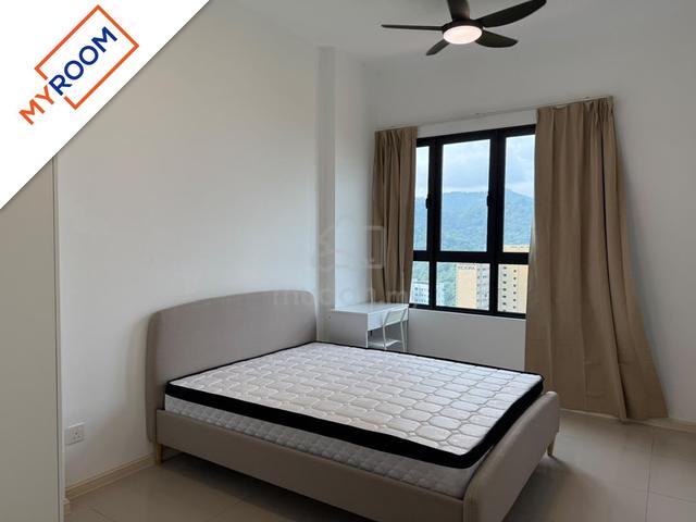 Medium Room | Brand New D'Starlington Condo  1
